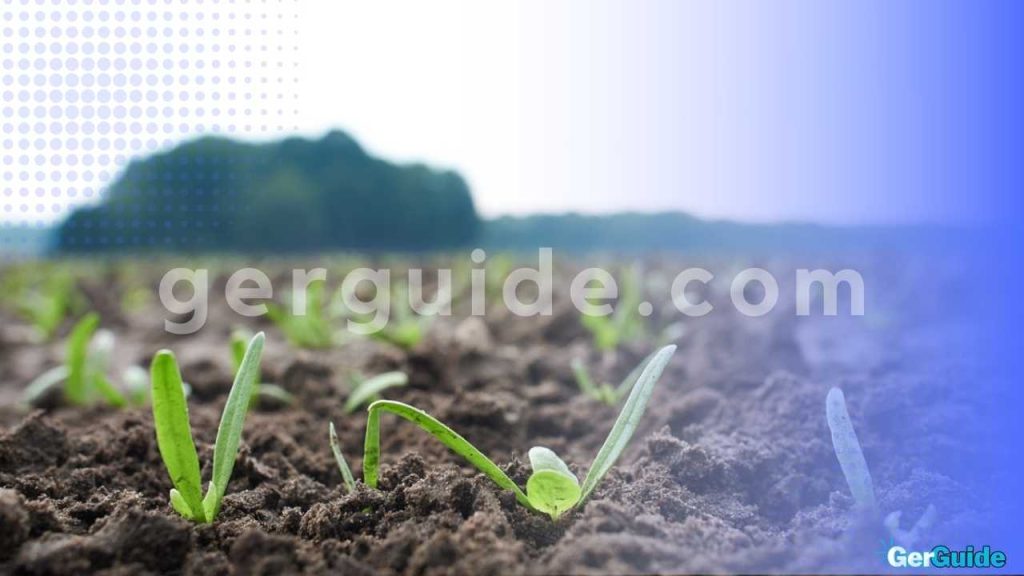 Welche Maßnahmen tragen zur Umweltschonung bei - 2