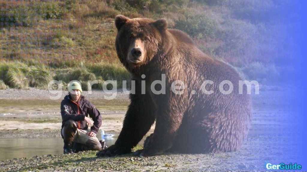 Wie-viel-wiegt-ein-Grizzlybar-1